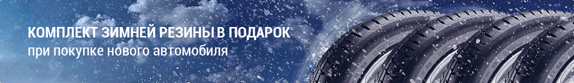 Комплект зимней резины в подарок